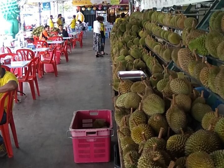 KL榴莲档