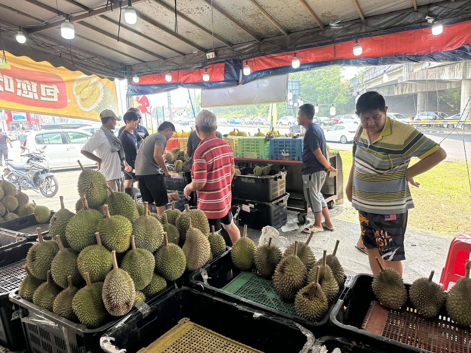 JB榴莲档