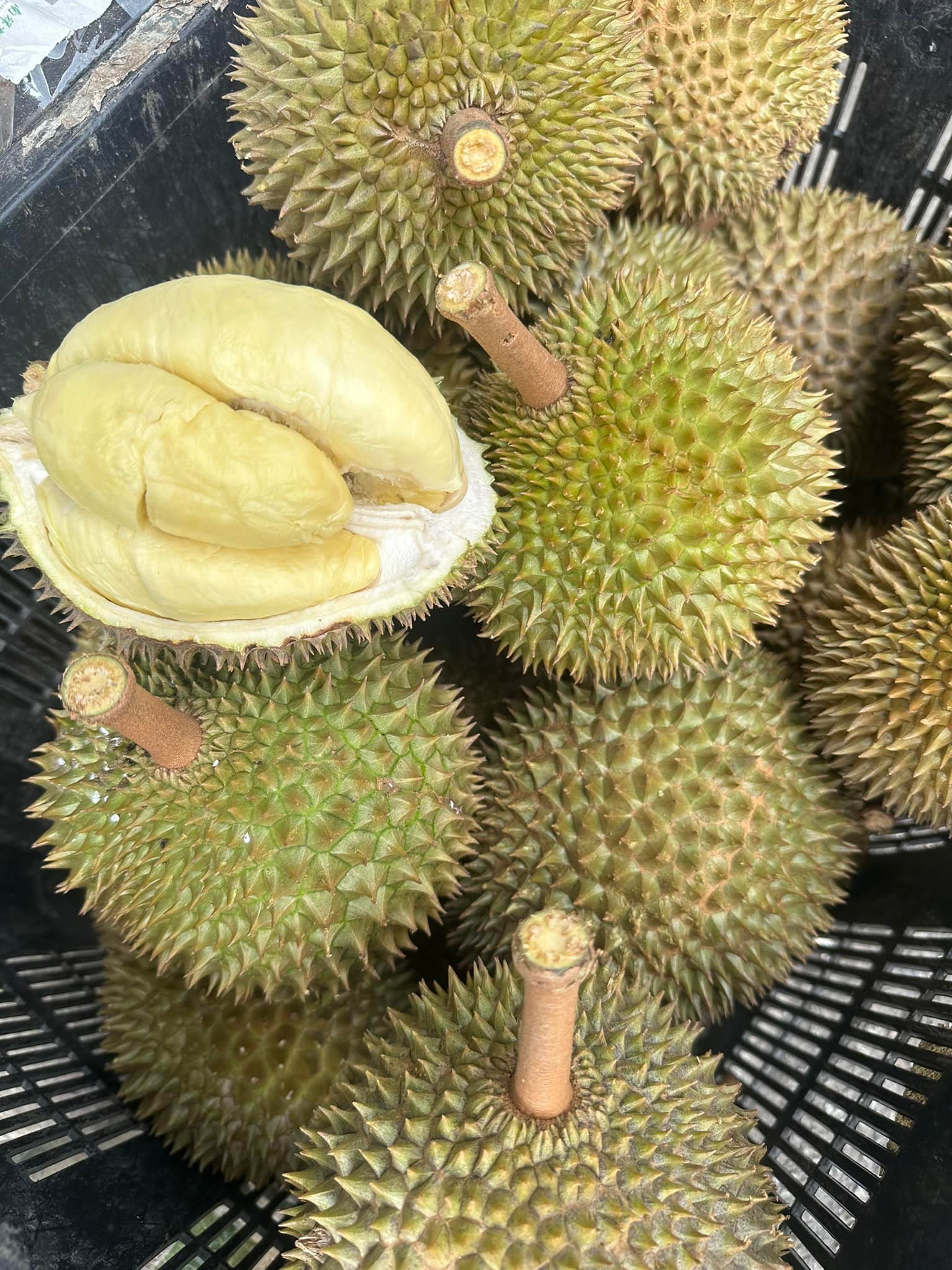 JB榴莲季节