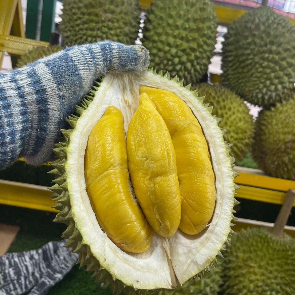 JB榴莲季节