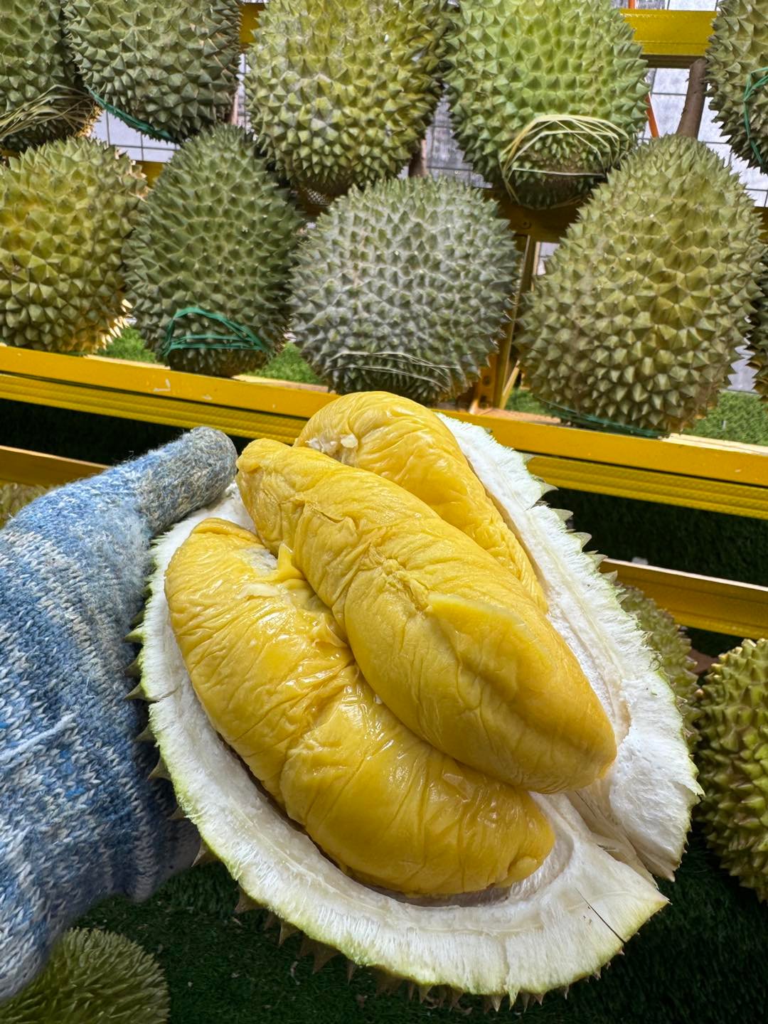 JB榴莲档