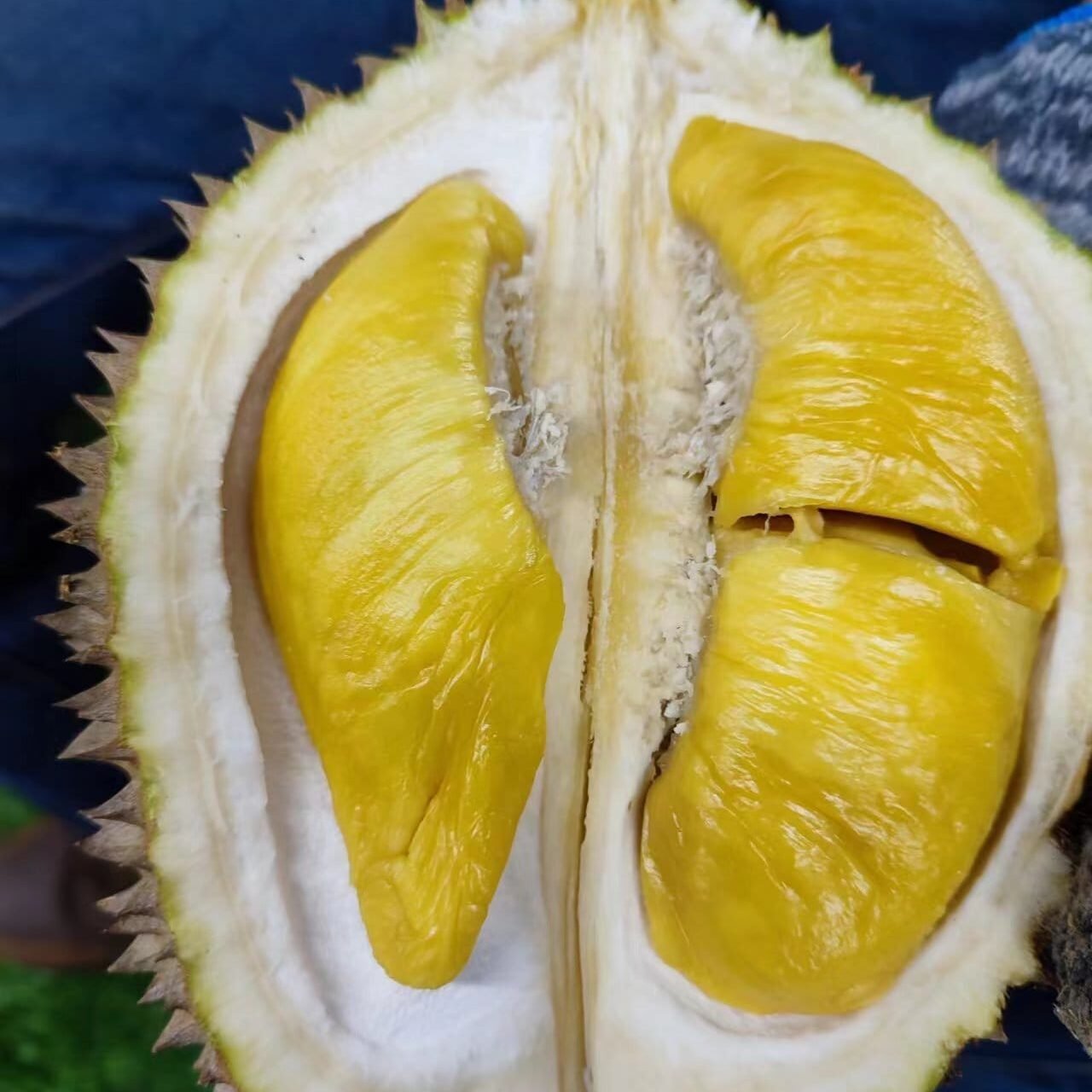 榴莲