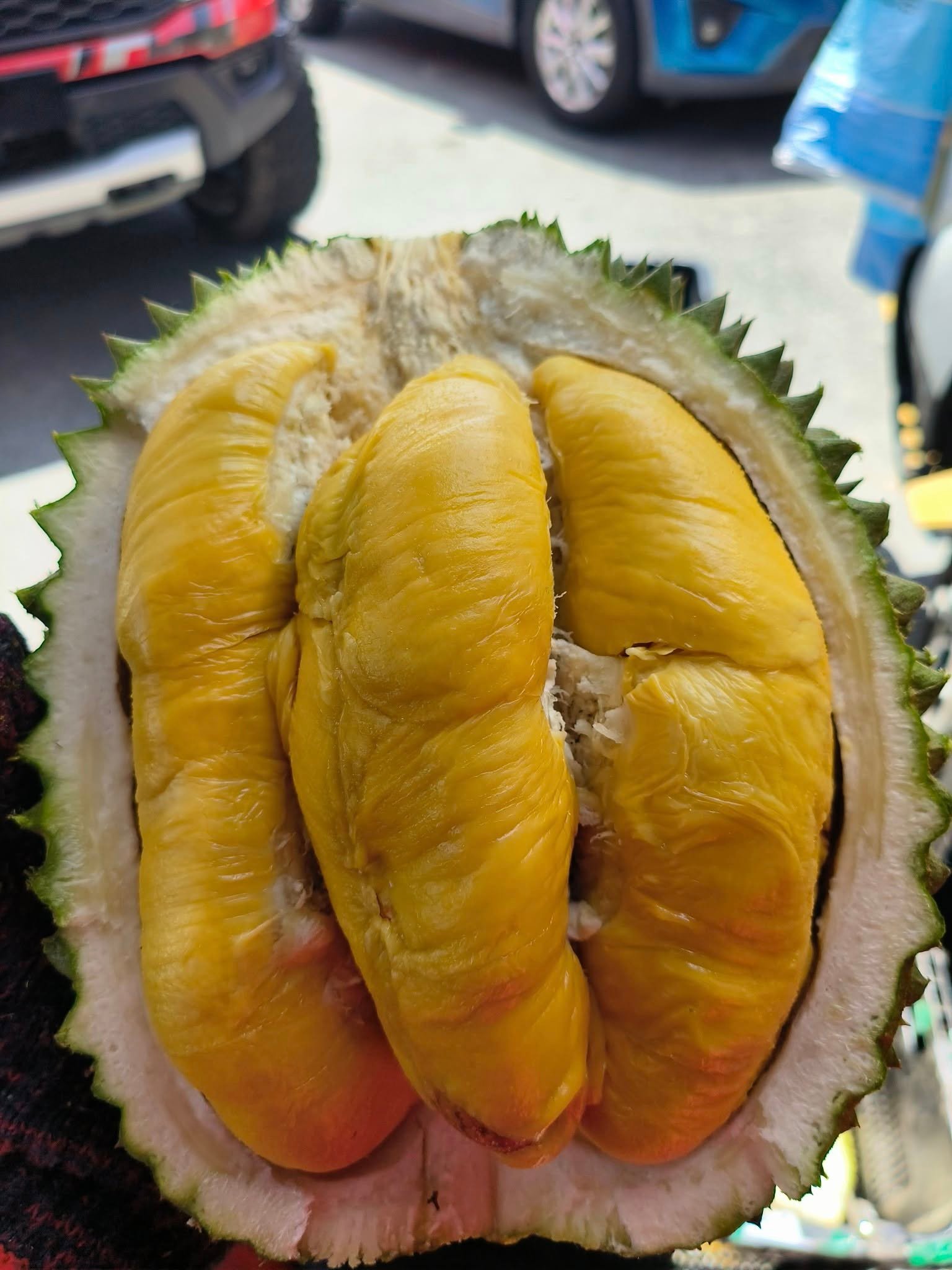 榴莲