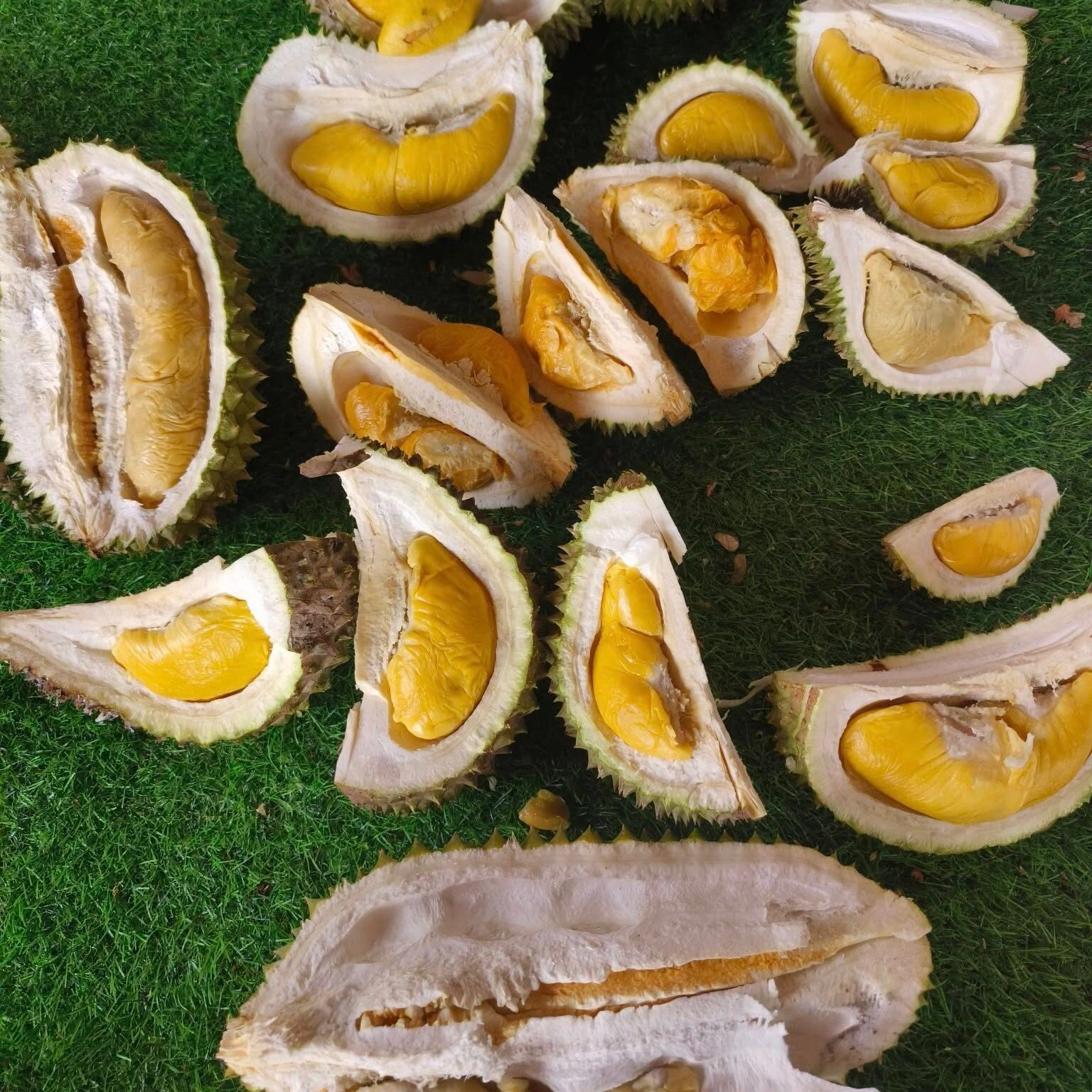 KL榴莲档