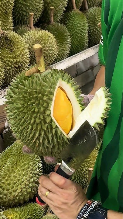 JB榴莲季节