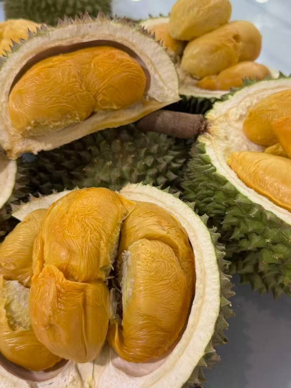 JB榴莲档